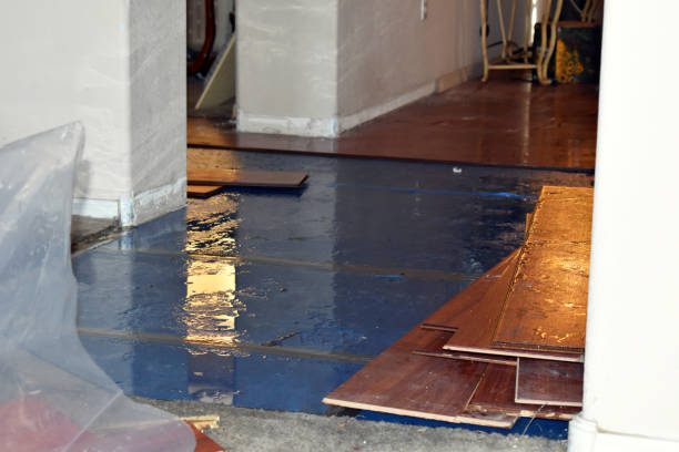 Professional Water Damage Restoration technician working in Wykoff, MN